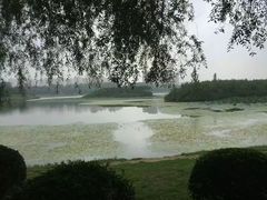 -丁香湖公园