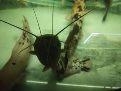 -台州海洋世界