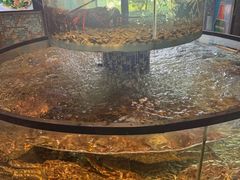 -寻味顺德·珍之宝酒楼(银钻店)