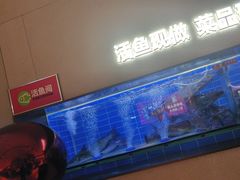 -老板恋上鱼(恒隆广场店)