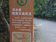 -滴水岩森林公园