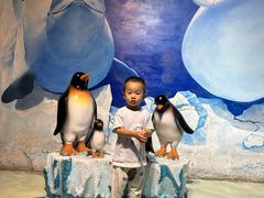 -芜湖新华联大白鲸海洋公园