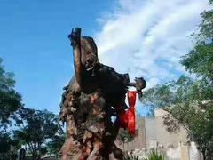 -大槐树寻根祭祖园