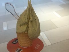 -野人先生现做冰淇淋(北京环宇荟店)