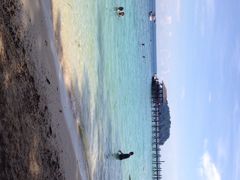 iphone_upload_pic-东姑阿都拉曼海洋公园