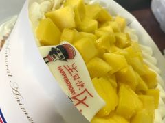 -维尔纳斯·生日蛋糕·动物奶油冰淇淋蛋糕(六里桥店)