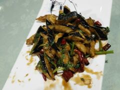 -兴芮温泉度假区