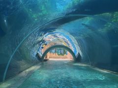 -新加坡水上探险乐园