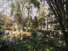 -成都市活水公园