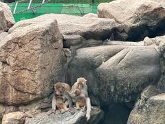 -西安秦岭野生动物园