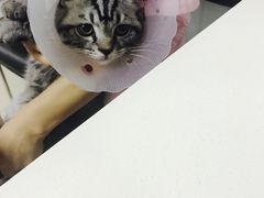 -宠颐生中康贝怡动物医院