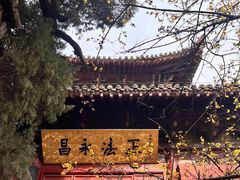 -洛阳白马寺