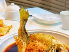-茉里粤菜(皇姑万象汇店)