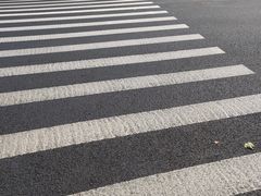 -三阳盛(南京西路店)