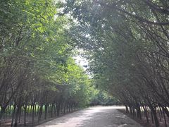 -汉景帝阳陵博物院