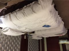 圣爵菲斯大酒店-圣爵菲斯大酒店(长沙世界之窗店)