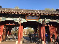-北京大学百年讲堂