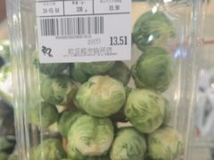 -鼎原力量东北吊炉烧烤(临河街店)