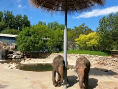 -北京野生动物园