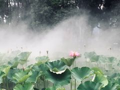 -四川大学(望江校区)