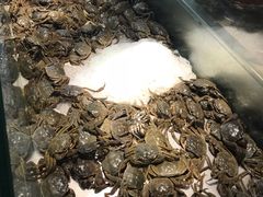 -欢乐牧场海鲜烤肉自助(牡丹园店)