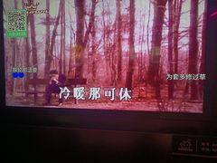 -金青果甄选KTV(劳动公园店)