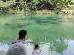 -石台牯牛降景区
