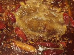 -懂食汇自助火锅