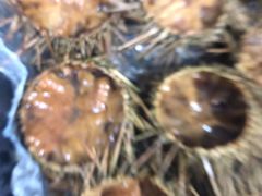 -宾朋海鲜特色美食餐厅·纯手工鲅鱼水饺(兴海路店)