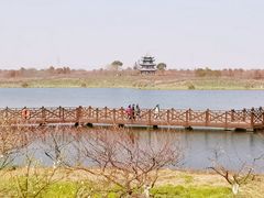 -上海海湾国家森林公园