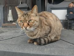 -平安桥天主教堂