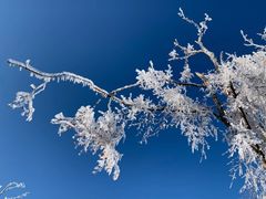 -中旅松花湖滑雪场