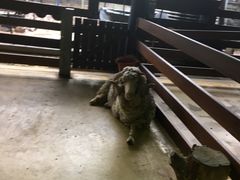 -梦幻世界游乐园