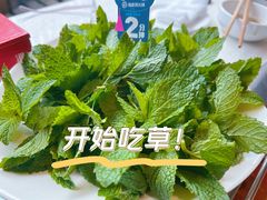 -海底捞大排档火锅(打浦路店)