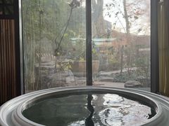 -春晖园度假酒店温泉