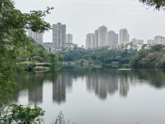 -重庆彩云湖湿地公园