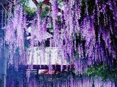 -窑埠古镇