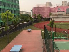 -杭州观成实验学校