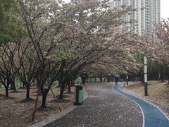 -苏州河梦清园环保主题公园