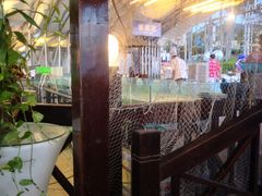 -渔家火锅·海鲜自助餐·演艺(亚龙湾天域酒店)