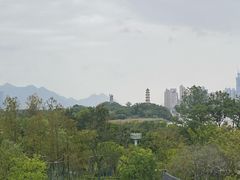 -江心屿景区