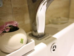 bathroom cactus-柳湖小筑青年旅舍