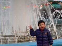 -海合安武汉极地海洋公园