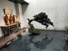 -觀芷隐轩
