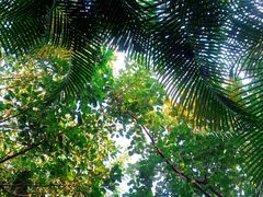 -碧桂园润杨溪谷温泉酒店