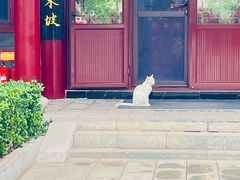 -天津市峰山药王古寺