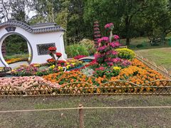 -上海共青森林公园