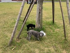 -春花秋色城市公园