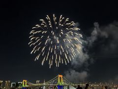 -台场海滨公园船码头