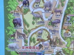 -广州长隆野生动物世界